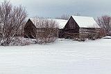 Snowy Old Log Barns_32688